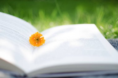 İyi bir dinlenme ve okuma için açık kitap ve çiçekler.