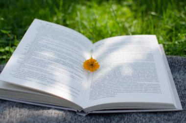 İyi bir dinlenme ve okuma için açık kitap ve çiçekler.