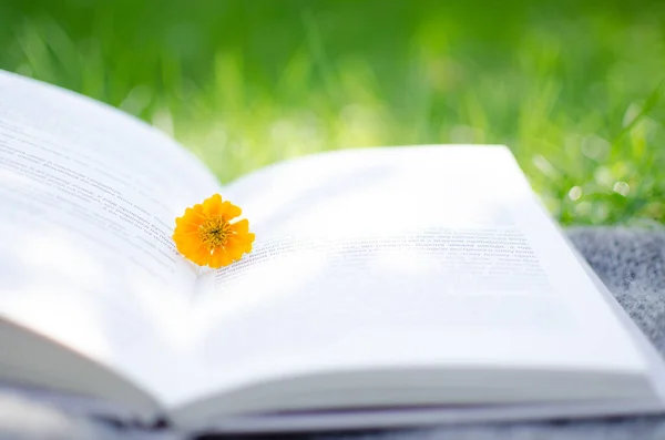 Open book and flowers for a good rest and reading