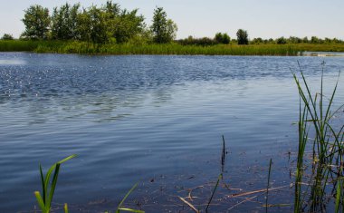 Yaşam ve arka plan için damlaları olan açık havada su dalgaları
