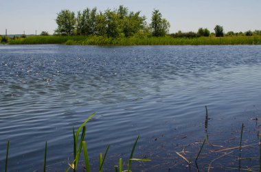 Yaşam ve arka plan için damlaları olan açık havada su dalgaları