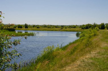 Yaşam ve arka plan için damlaları olan açık havada su dalgaları
