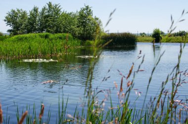 Yaşam ve arka plan için damlaları olan açık havada su dalgaları