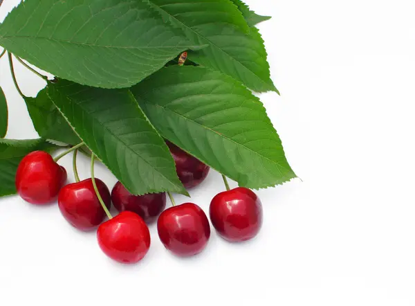 Cherries Red Ripe Cherries Healthy Eating Vitamins Making Juice Summer — Stock Photo, Image