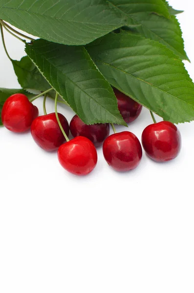 Cherries Red Ripe Cherries Healthy Eating Vitamins Making Juice Summer — Stock Photo, Image