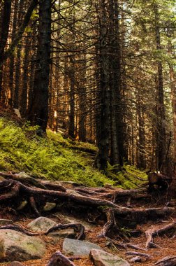 Dağlar yılın her zamanında harika bir yürüyüş tatilidir.