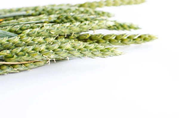 Spikelets Wheat Growing Outdoors Good Harvest Very Flour Bread Limited — Stock Photo, Image