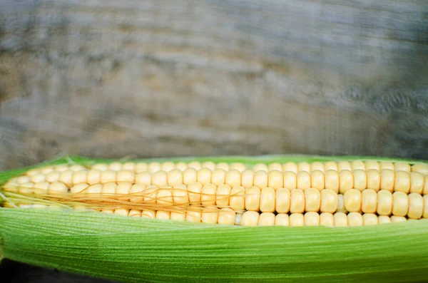 Lahodná Zralá Žlutá Kukuřice Pěstující Poli Pro Lahodnou Dietní Snídani — Stock fotografie