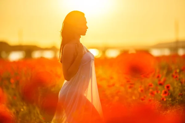 woman in a field with poppies at sunset, in the sun, soft focus