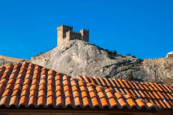 the texture of the tiled roof of the house with mountain views