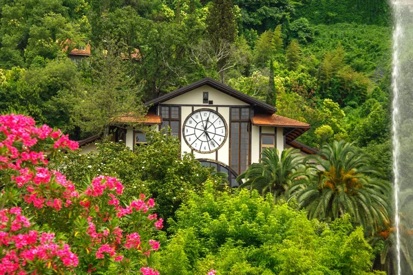 beautiful building in palm trees in Gagra in Abkhazia