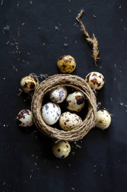 Ahşap arka planda bir yuvada bıldırcın yumurtası