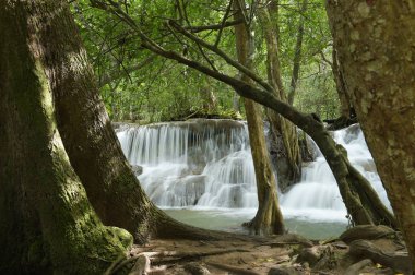 Tayland ormanlarında taşlı güzel bir şelale.
