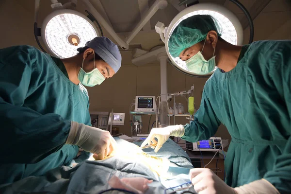 Twee Van Dierenarts Chirurgie Operatiekwartier — Stockfoto