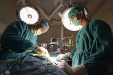 iki veteriner Cerrahi operasyon odasında