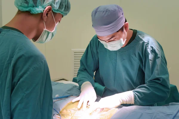 Two Veterinarian Surgery Operation Room — Stock Photo, Image