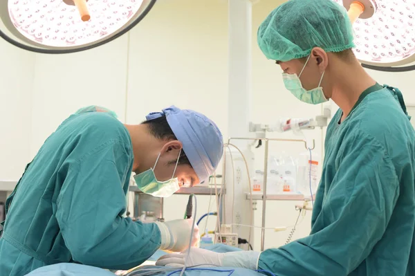 Dva Veterinární Chirurgie Operační Místnosti — Stock fotografie