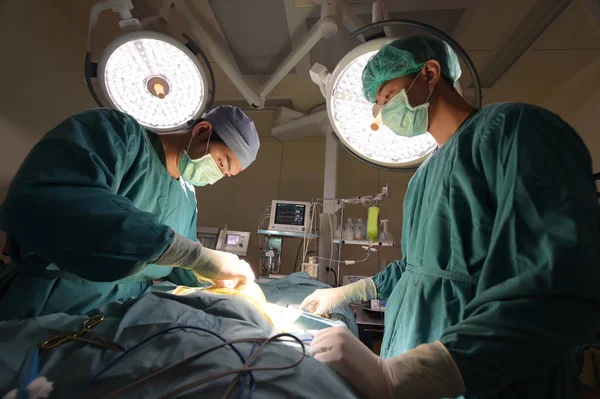 Dos Cirugía Veterinaria Sala Operaciones — Foto de Stock