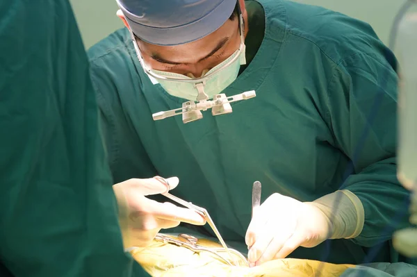 Veterinarian Surgery Operation Room — Stock Photo, Image