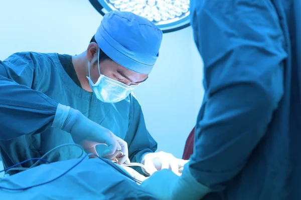 Cirugía Veterinaria Sala Operaciones Con Iluminación Arte Filtro Azul — Foto de Stock