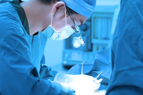 Κτηνίατρος Χειρουργική Επέμβαση Λειτουργία Δωμάτιο Τέχνη Φωτισμού Και Μπλε Φίλτρο — Φωτογραφία Αρχείου