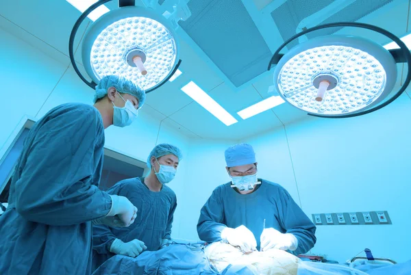 Grupp Veterinär Kirurgi Drift Rum Med Art Ljus Och Blått — Stockfoto