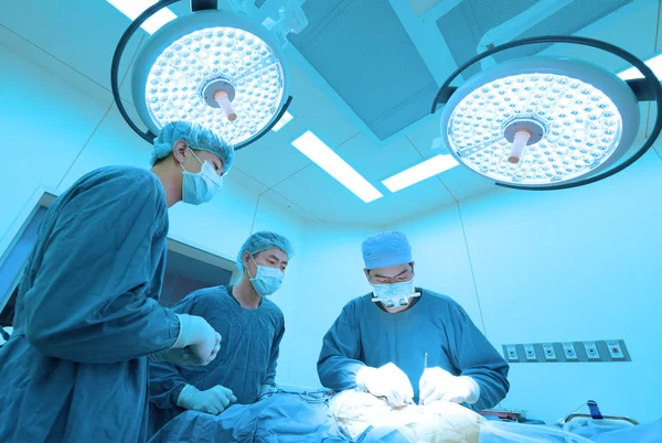 Groep Van Dierenarts Chirurgie Operatie Kamer Meenemen Aan Kunst Verlichting — Stockfoto