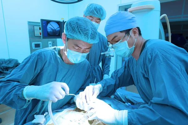 Group Veterinarian Surgery Operation Room Take Art Lighting Blue Filter — Stock Photo, Image