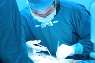 Veteriner Cerrahi operasyon odasında aydınlatma sanat ile almak ve filtre mavi