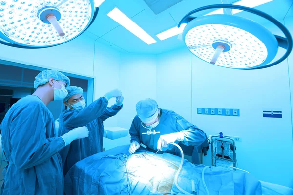 Ομάδα Χειρουργικής Κτηνίατρος Λειτουργία Δωμάτιο Τέχνη Φωτισμού Και Μπλε Φίλτρο — Φωτογραφία Αρχείου