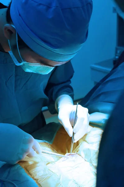 Veterinarian Surgery Operation Room Take Art Lighting Blue Filter — Stock Photo, Image