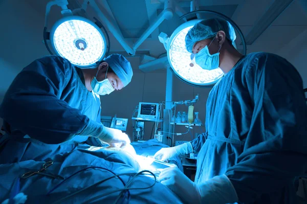 Två Veterinär Kirurgi Operationssalen Med Art Ljus Och Blått Filter — Stockfoto