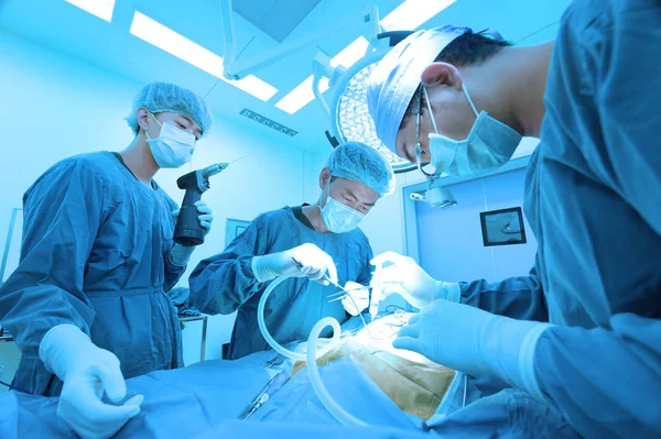 Grupo Cirugía Veterinaria Sala Operaciones Con Iluminación Arte Filtro Azul — Foto de Stock