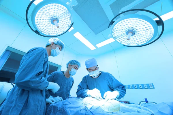Группа Ветеринарной Хирургии Операционной Возьмите Художественным Освещением Голубым Фильтром — стоковое фото
