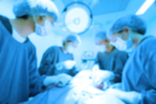 Blur Group Veterinarian Surgery Operation Room Take Art Lighting Blue — Stock Photo, Image