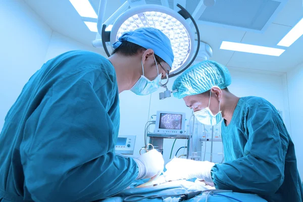 Two Veterinarian Surgery Operation Room Take Art Lighting Blue Filter — Stock Photo, Image