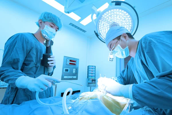 Два Ветеринара Хирургии Операционной Взять Художественным Освещением Синий Фильтр — стоковое фото