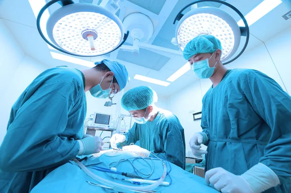 Tierarztgruppe Operationssaal Mit Kunstbeleuchtung Und Blauem Filter — Stockfoto
