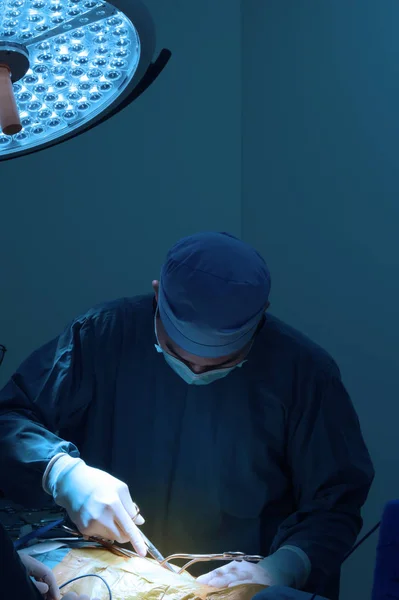 Tierarztpraxis Operationssaal Mit Kunstbeleuchtung Und Blaufilter — Stockfoto