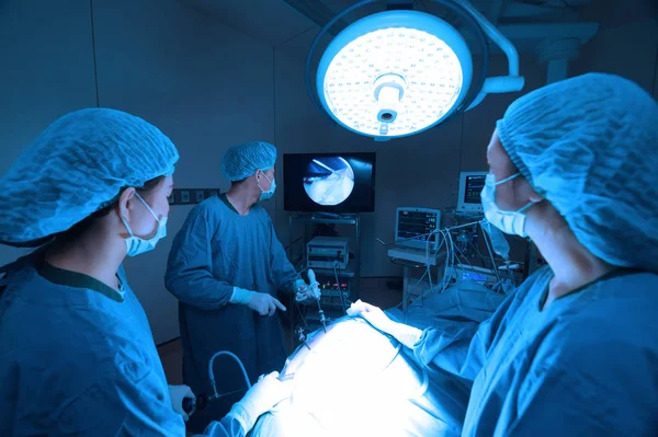 Tierarztgruppe Operationssaal Mit Kunstbeleuchtung Und Blauem Filter — Stockfoto