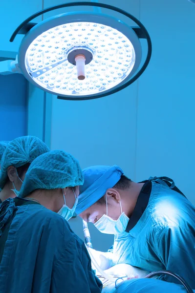 Groep Van Dierenarts Chirurgie Operatie Kamer Meenemen Aan Kunst Verlichting — Stockfoto