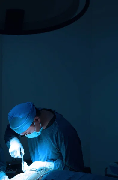 Chirurgie Vétérinaire Salle Opération Prendre Avec Éclairage Art Filtre Bleu — Photo