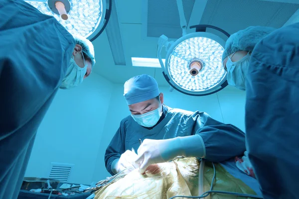 Grupo Cirugía Veterinaria Sala Operaciones Con Iluminación Arte Filtro Azul —  Fotos de Stock