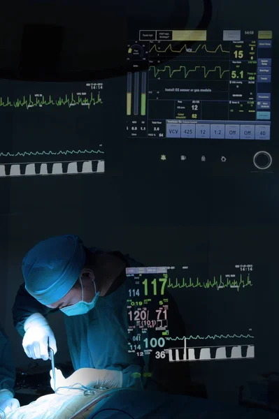 Hastanın Hayati Belirtileri Izleme Ile Veteriner Cerrahi Operasyon Odasında Karışımı — Stok fotoğraf