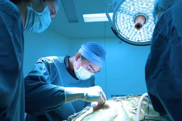 Група Ветеринарної Хірургії Операційній Кімнаті Взяти Художнім Освітленням Синім Фільтром — стокове фото