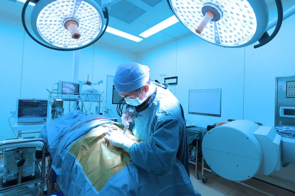 Chirurgie Vétérinaire Salle Opération Prendre Avec Éclairage Art Filtre Bleu — Photo