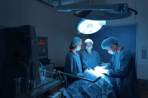 Group Veterinarian Surgery Operation Room Take Art Lighting Blue Filter — Stock Photo, Image