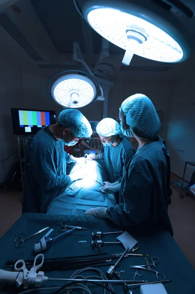Groupe Chirurgie Vétérinaire Salle Opération Prendre Avec Éclairage Art Filtre — Photo