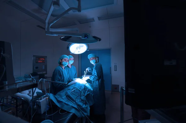 Group Veterinarian Surgery Operation Room Take Art Lighting Blue Filter — Stock Photo, Image