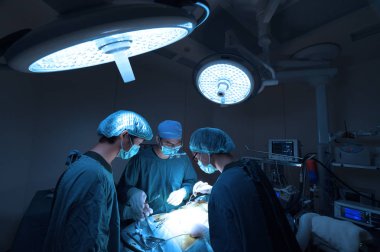 Veteriner Cerrahi operasyon odasında grup aydınlatma sanat ile almak ve filtre mavi